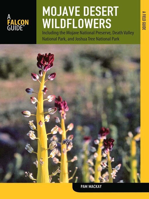 Cover image for Mojave Desert Wildflowers